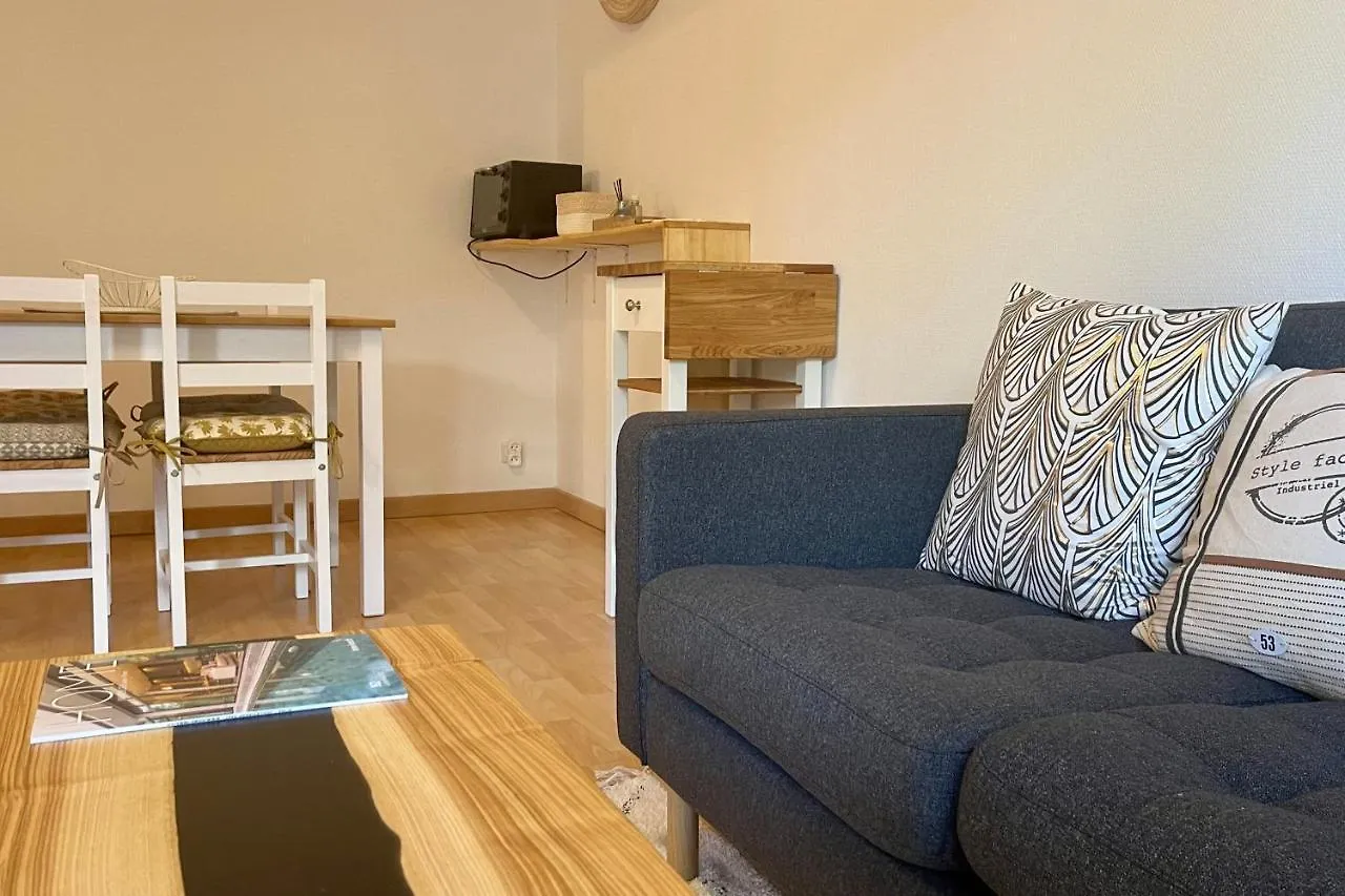 Sully II - Apartment Of 33 Sqm With Parking 400M From Lake אנסי צרפת