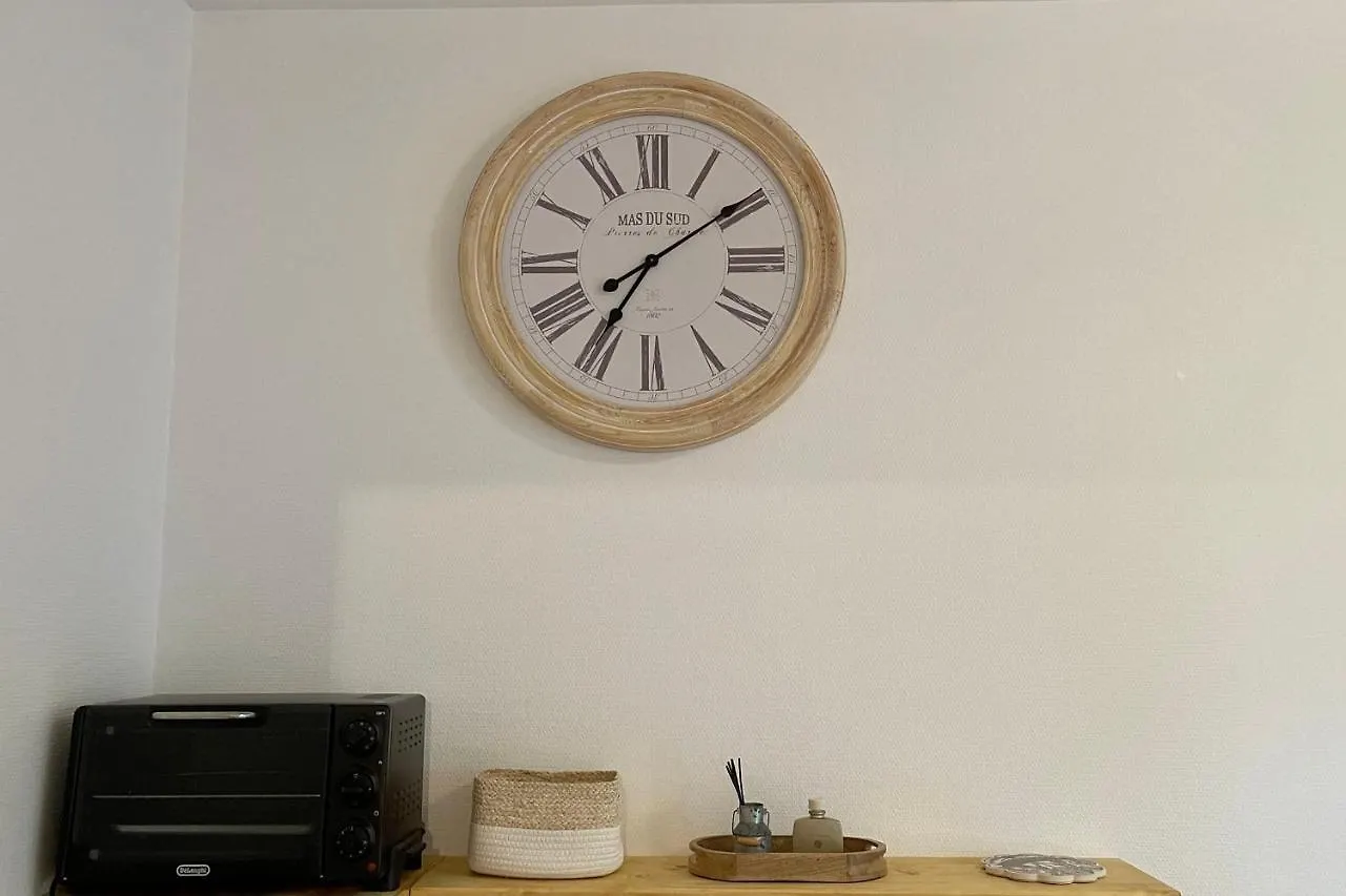 Sully II - Apartment Of 33 Sqm With Parking 400M From Lake אנסי צרפת